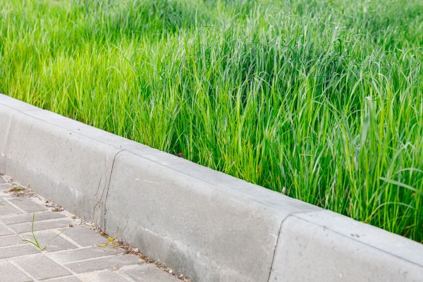 Cost of Concrete Curb Repair in Lake Zurich