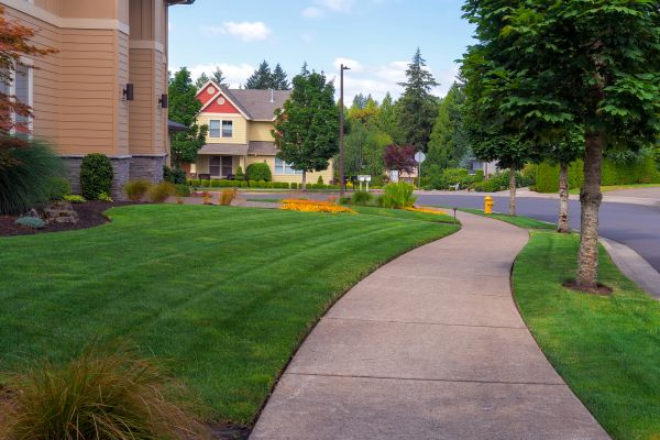 Cost of Sidewalk Patching in Lake Zurich