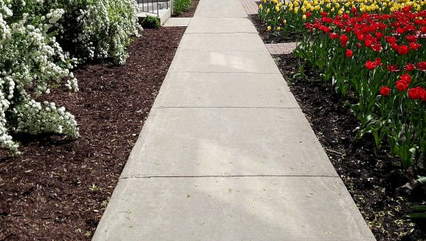 Cost of Concrete Pathway Repair in Lake Zurich