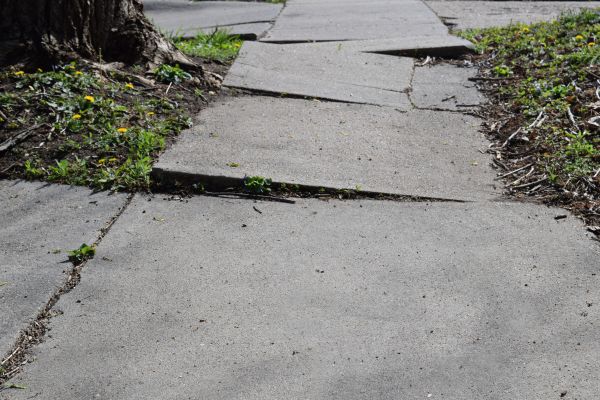 Cost of Trip Hazard Removal in Lake Zurich