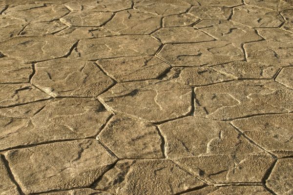 Cost of Concrete Driveway Refinishing in Lake Zurich